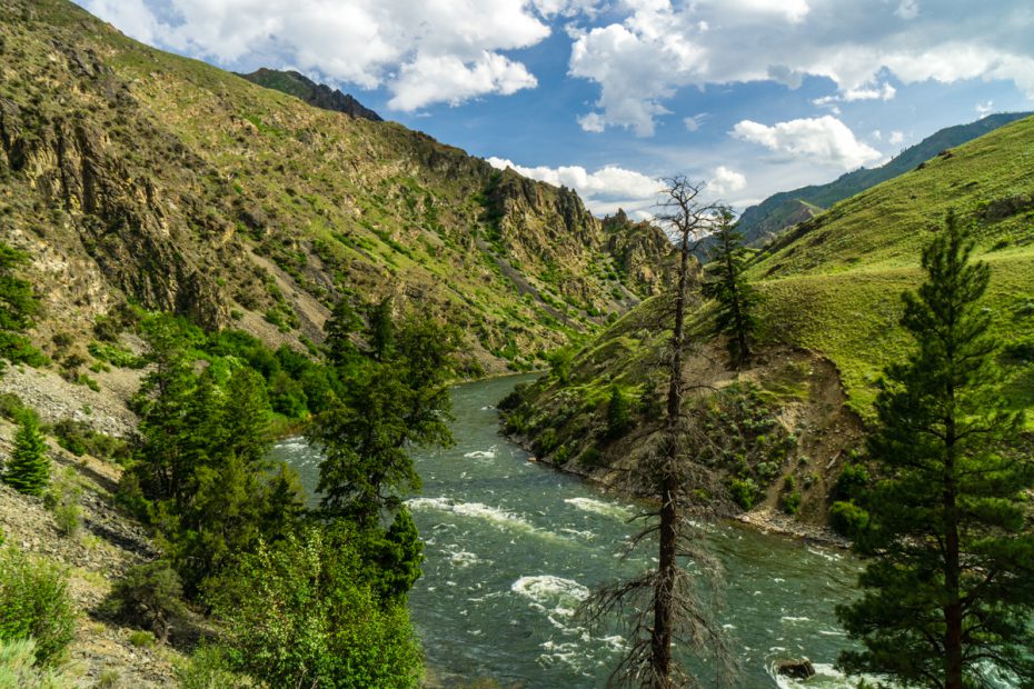 Idaho's Middle Fork of the Salmon was one of the original eight rivers designated as part of the National Wild and Scenic River System.